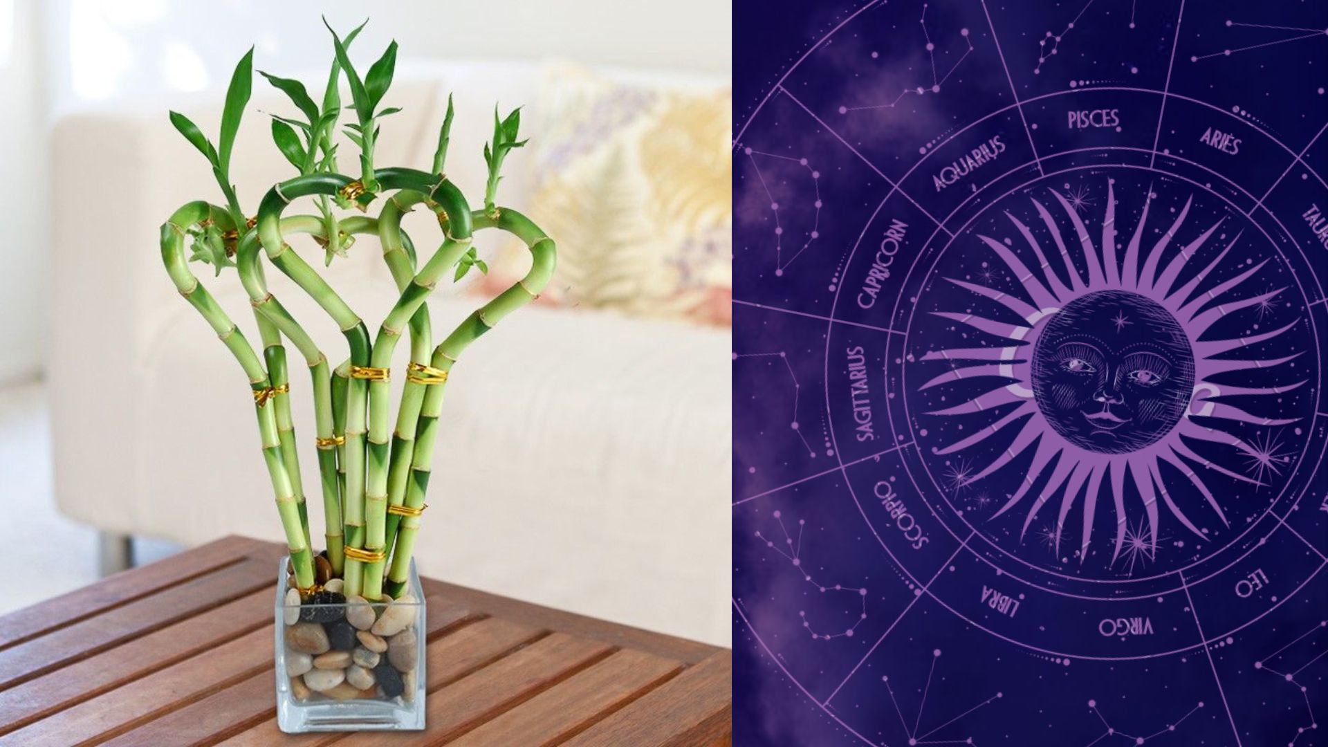 Vastu plants